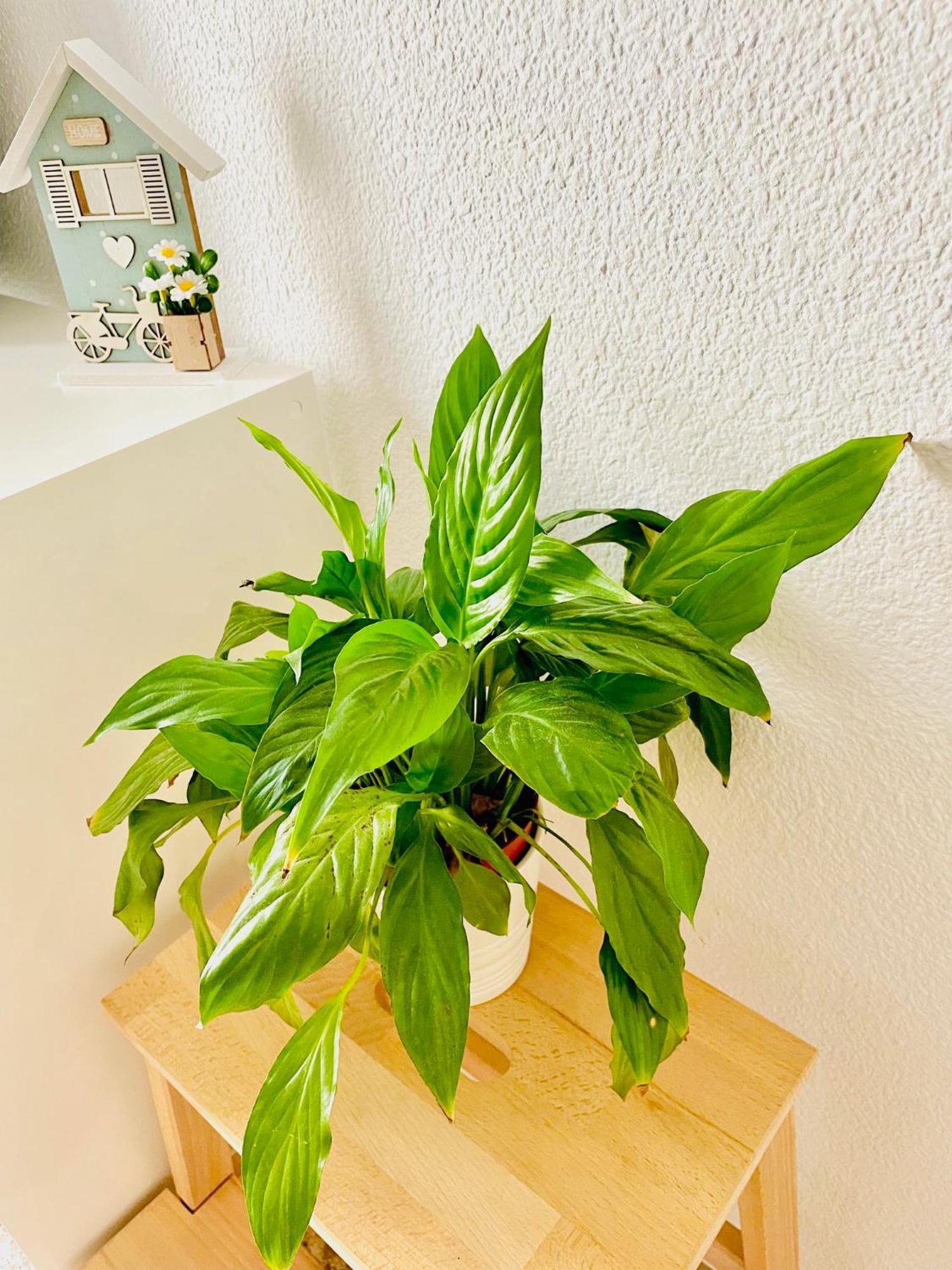 Precioso Apartamento Playa Pinedo 발렌시아 외부 사진